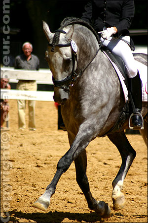 Rencontres equestres méditerranéennes 2013