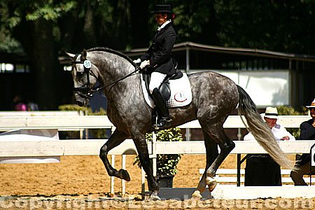 Rencontres equestres méditerranéennes 2013